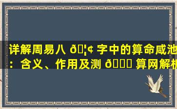 详解周易八 🦢 字中的算命咸池：含义、作用及测 🐝 算网解析